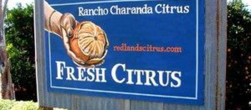 rancho-charanda-citrus-ranch